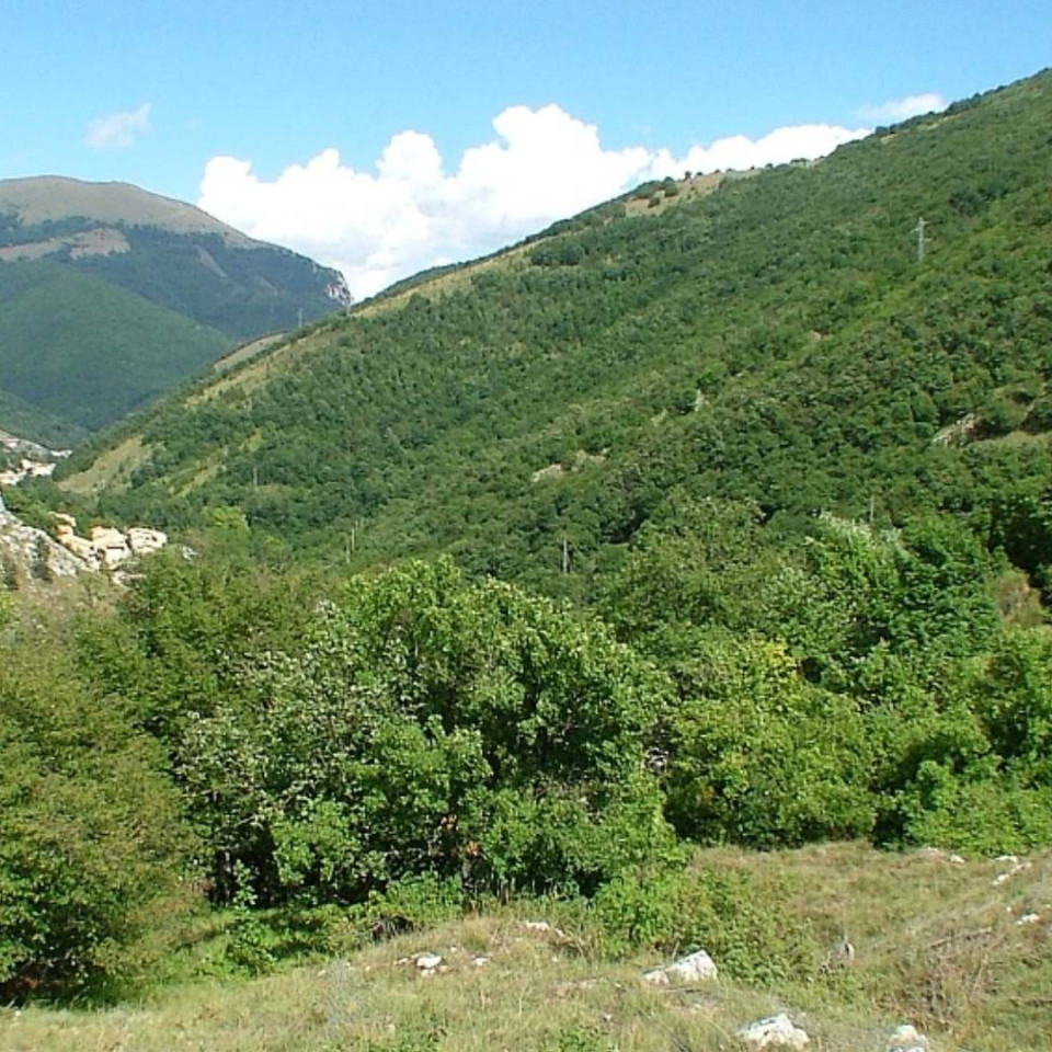 CASTELLO DEI VARANO - Serravalle di Chienti